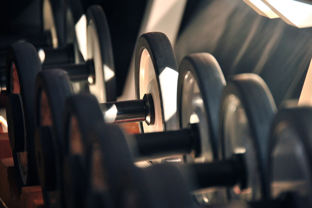 Manubri in una palestra